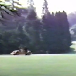 仮想夢広場からの脱出