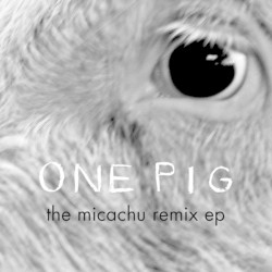 One Pig (Micachu Remix EP)