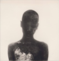 Summer Solstice Edition