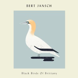 Black Birds of Brittany