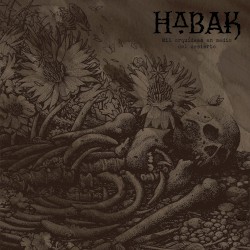 Mil orquídeas en medio del desierto