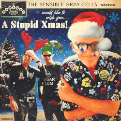 A Stupid Xmas