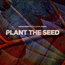 Plant the Seed
