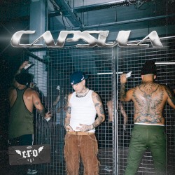 Capsula