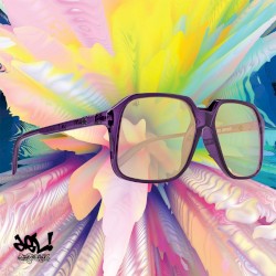 SPY+ Presents: DO DIS [EP]