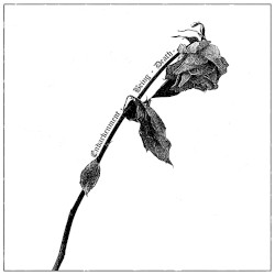 Endarkenment, Being & Death