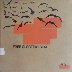 Free Electric State