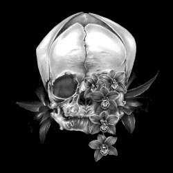 Tranquil Garden E.P.