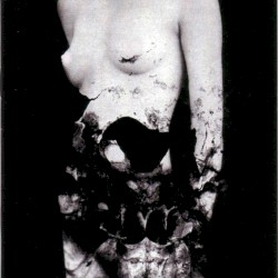 Profane fetmilch lenzt Elf Krank