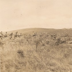 A Odisseia de 80 Dias