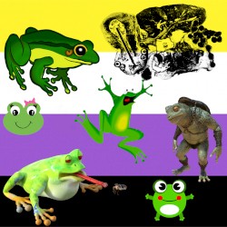 Nonbinary Frogs of the Gay Swamp