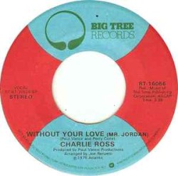 Without Your Love (Mr. Jordan)