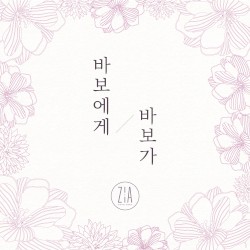 바보에게 바보가