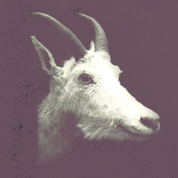 Throw a Spider Like a Boomerang