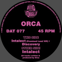 Intalect / Promised Land VIP / Discovery