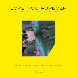 Love You Forever (Metrush remix)