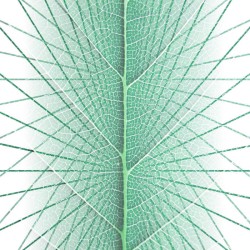 God of New Beginnings