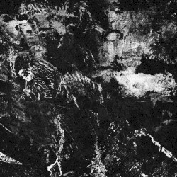 Human children have the most value.