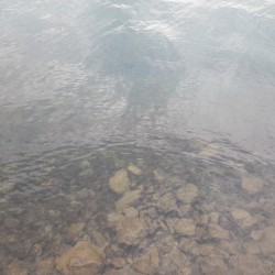 Omnia Sunt Communia (Synthetic Landscapes for Tape, Computer and Filterbank)