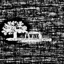 His Specific Alphabetical Nights