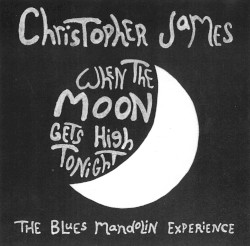 When the Moon Gets High Tonight: The Blues Mandolin Experience