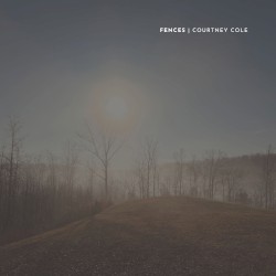 Fences