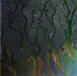An Awesome Wave