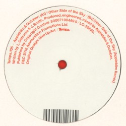 Other Side Of The Sky