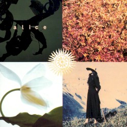 Mezzogiorno sulle Alpi