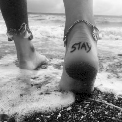 Stay