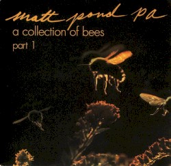 A Collection of Bees, Part 1