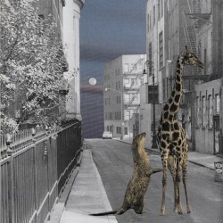 Not Everyone is Loved