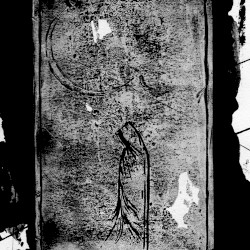 Endless Sigh / Agathocles