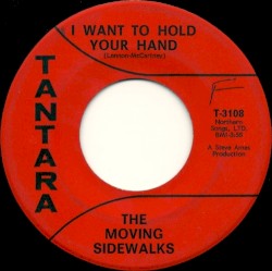 I Want To Hold Your Hand / Joe Blues