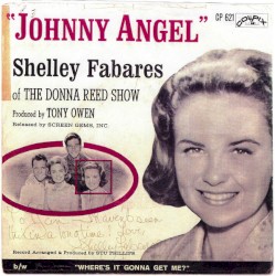 Johnny Angel / Where's It Gonna Get Me?