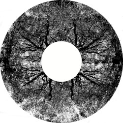 MMXX - 05 : 4424