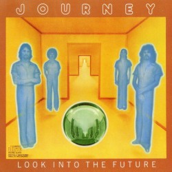 Look Into The Future