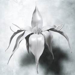 Portal