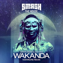 Wakanda (Warriors remix)