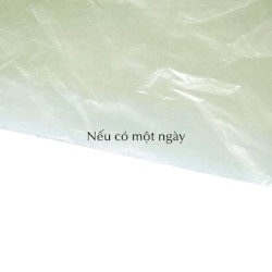 Nếu có một ngày