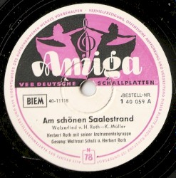 Am schönen Saalestrand