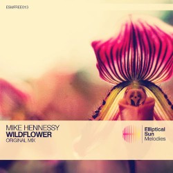 Wildflower
