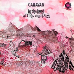 In the Land of Grey and Pink