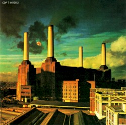 Animals