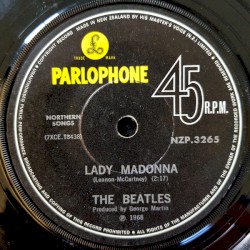 Lady Madonna