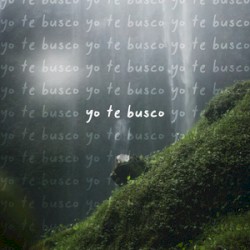 Yo te busco