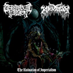 The Ruination of Imperialism