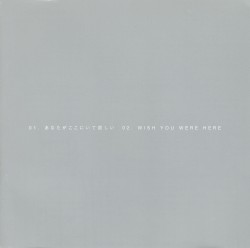 あなたがここにいて欲しい