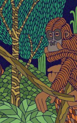 Can't See the Forest for the Trees