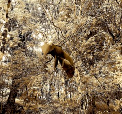 Untitled (2021–2022)